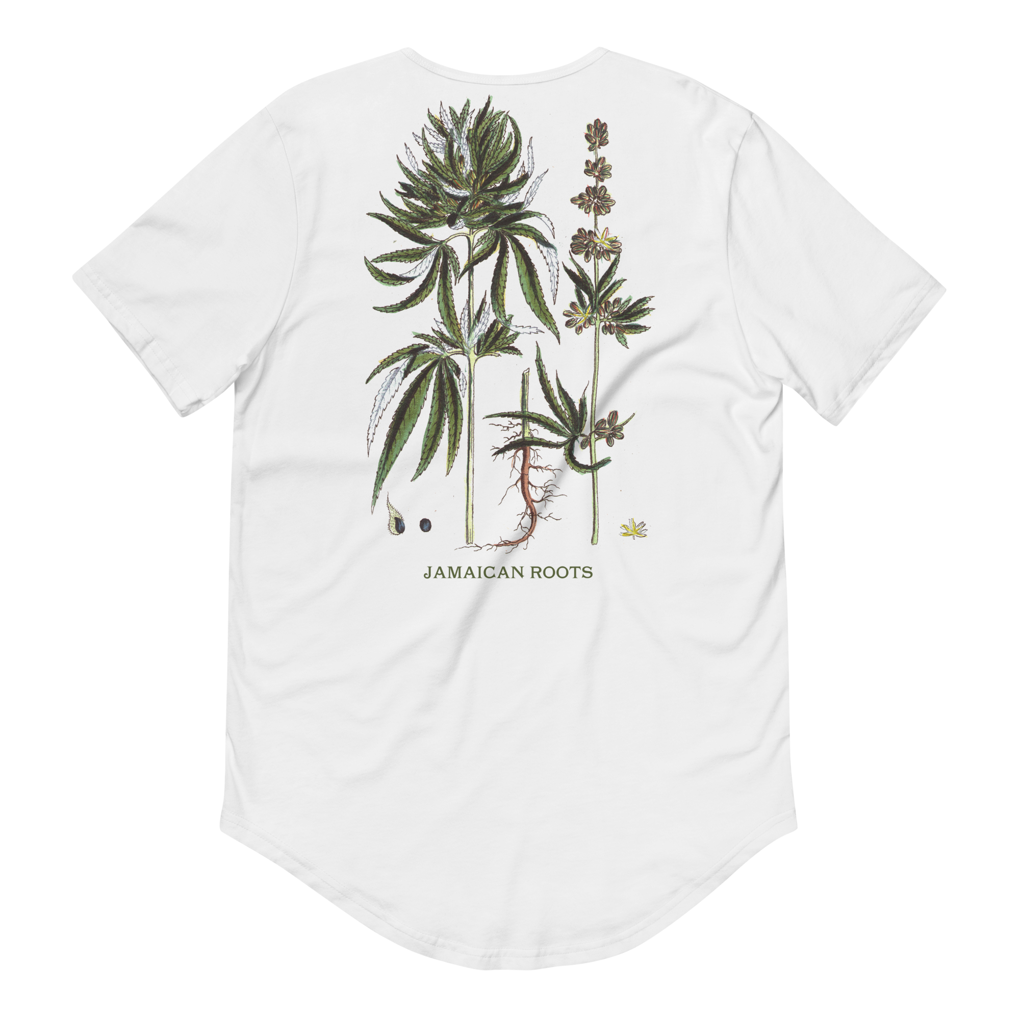 Men's Curved Hem T-Shirt Kaya Botanical T-Shirt